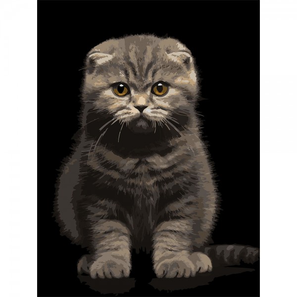 246749 Картина за номерами Strateg Сіре кошеня на чорному фоні 30Х40 (FH-25)