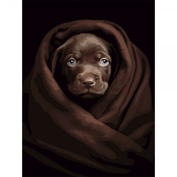 246750 Картина за номерами Strateg Песик у пліді на чорному фоні 30Х40 (FH-26)