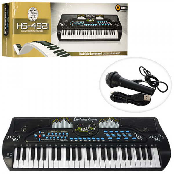 25239 Синтезатор HS4921 49 клавіш, мікрофон, USB, запис, демо, бат., кор., 66,5-24-10 см.