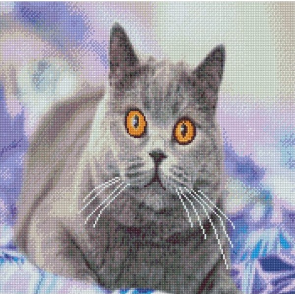 142753 Алмазна картина GA0004 "Зацікавлений сірий кіт", розміром 50х50 см
