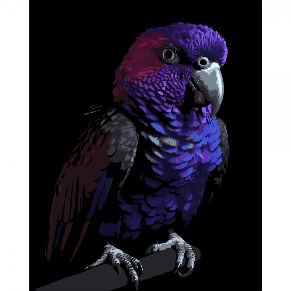 246790 Картина за номерами Strateg Яскравий папуга на чорному фоні 40Х50 (AH1281)