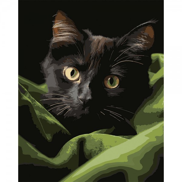 246791 Картина за номерами Strateg Чорне маленьке кошеня на чорному фоні 40Х50 (AH1282)