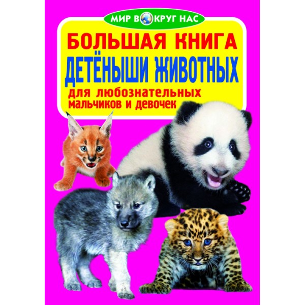 121706 Книга "Большая книга. Детёныши животных"