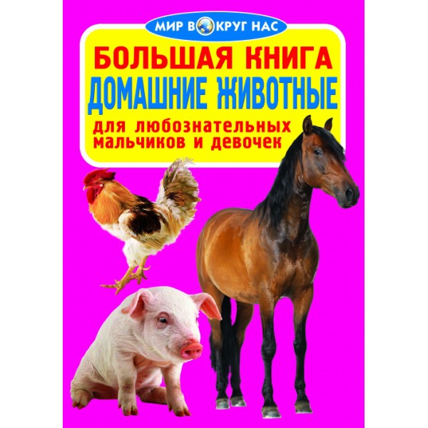 121709 Книга "Большая книга. Домашние животные"