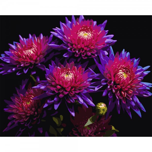 246799 Картина за номерами Strateg Айстри на чорному фоні 40Х50 (AH1298)