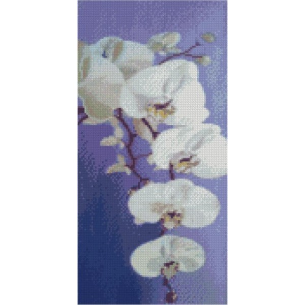 142784 Алмазна картина BA-0013 "Цвіт орхідеї", розміром 50х25 см