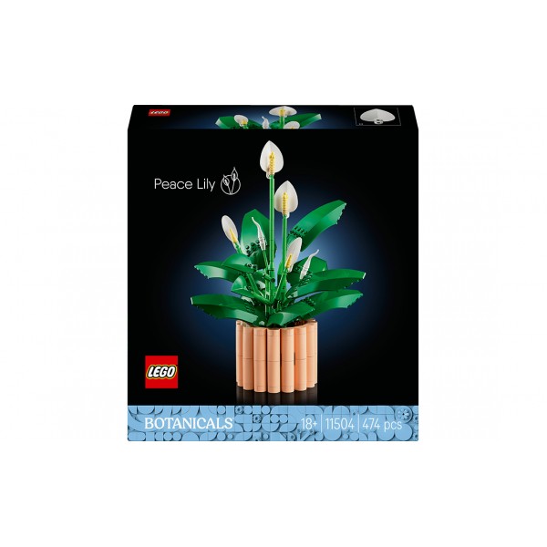 246087 Конструктор Спатифілум