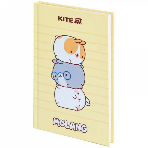 228292 Книга записна тверда обкл. А6, 80арк. кл. ML