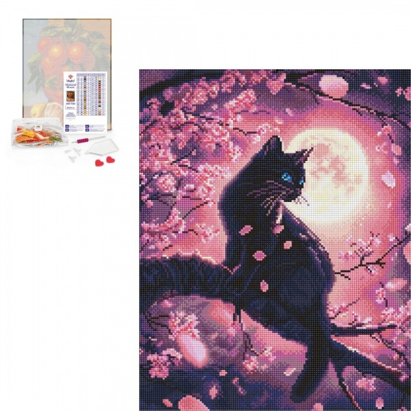 243281 AMO "Чарівний кіт серед сакури" 40х50см