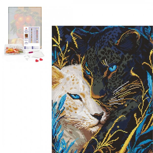 243282 AMO "Інь ян" 40х50см