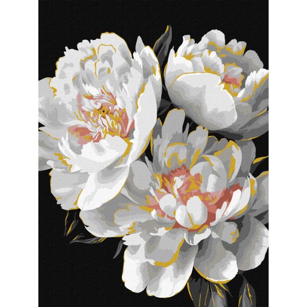 243991 KHO "Білосніжні бутони з фарбами металік" 30х40см