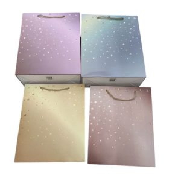 258373 Пакет подарунковий паперовий S "Stars" 18*23*10см