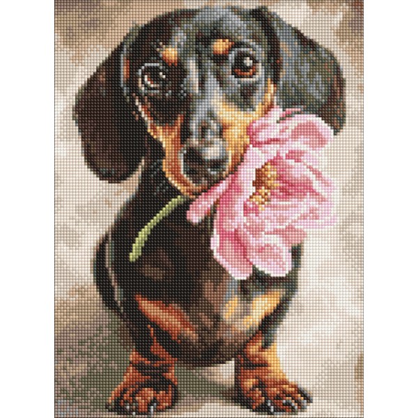 245989 Набір з алмазною мозаїкою "Песик і сюрприз" 30х40см