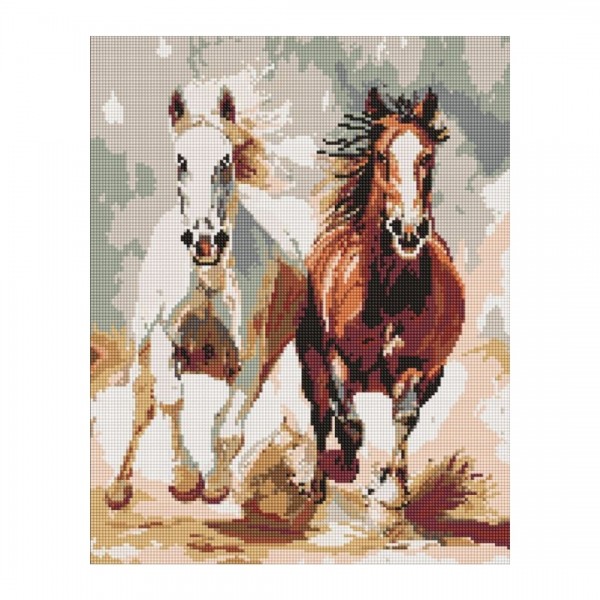 245999 Набір з алмазною мозаїкою "Чуттєвий забіг" 40х50см