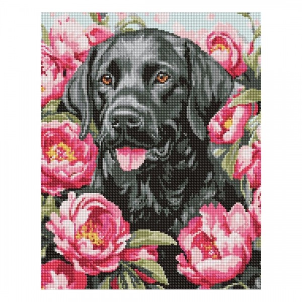 246001 Набір з алмазною мозаїкою "Собака у півоніях" 40х50см
