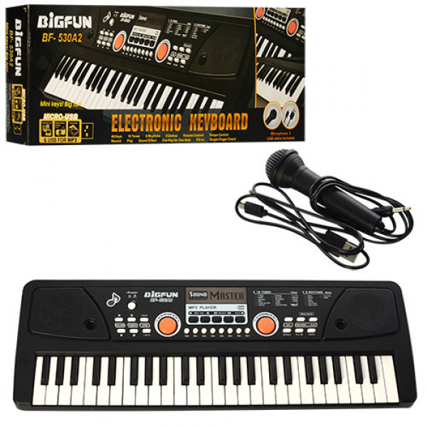 28240 Синтезатор BF-530A2 49 клавіш, мікрофон, USB, mp3, запис, Demo, живлення від мережі, кор., 53-19-6см