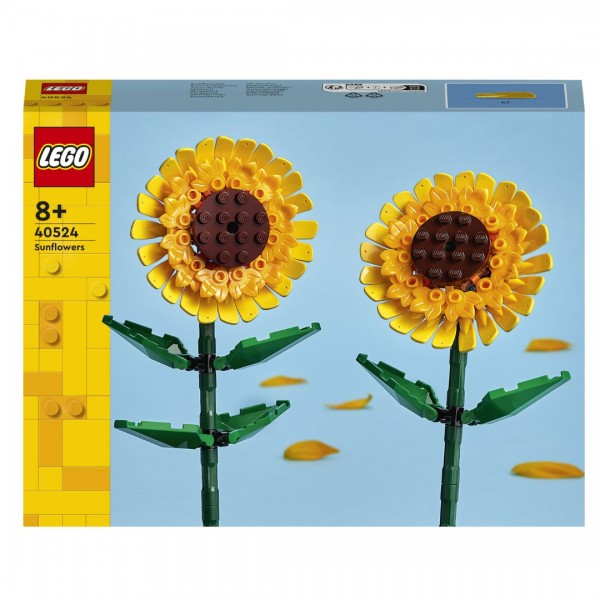 249979 Конструктор Соняшники, 650