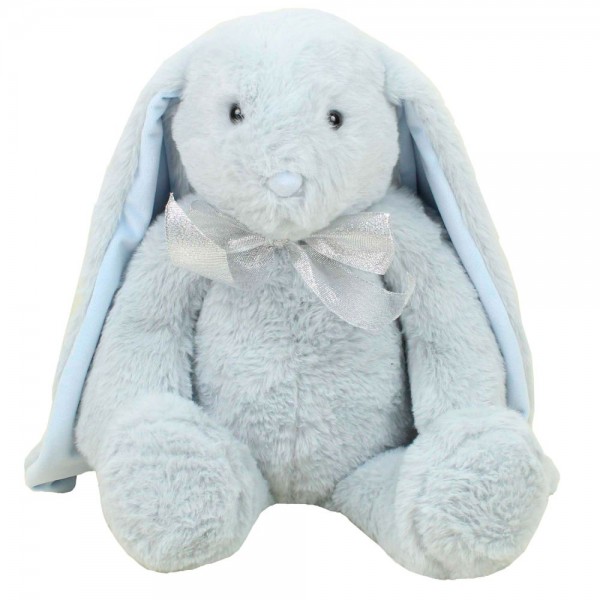 249779 Зайка Ніколь