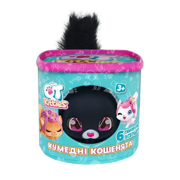217513 Ігровий набір QT KITTIES – КОШЕНЯ ЕШ (фігурка, будиночок, аксесуари)