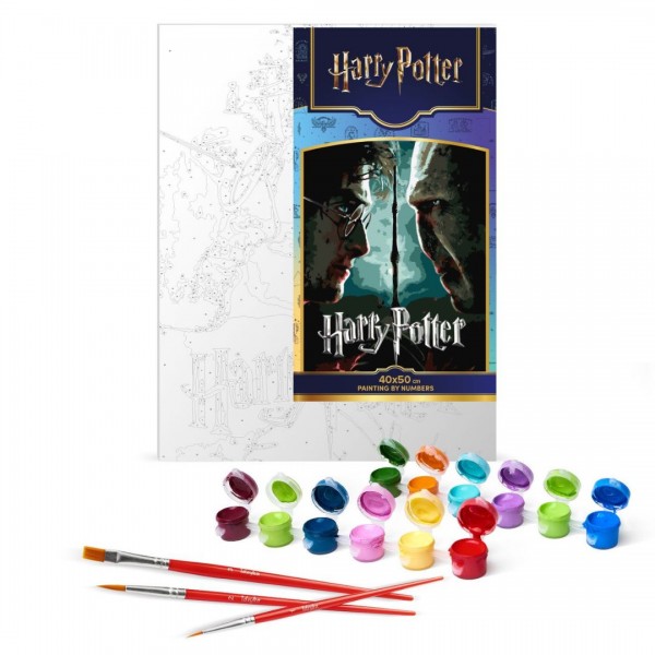 250609 Картина за номерами WB "Harry Potter: Гаррі та Волдеморт з фарбами металік extra" 40х50см