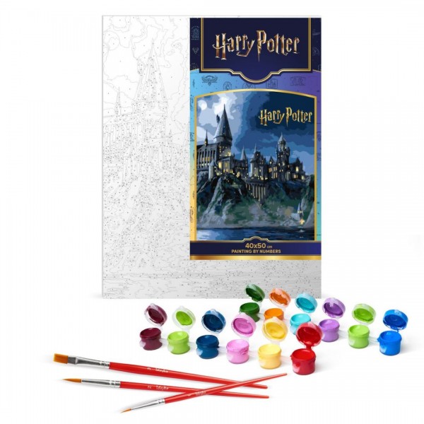 250610 Картина за номерами WB "Harry Potter: Гоґвортс вночі з фарбами металік extra" 40х50см