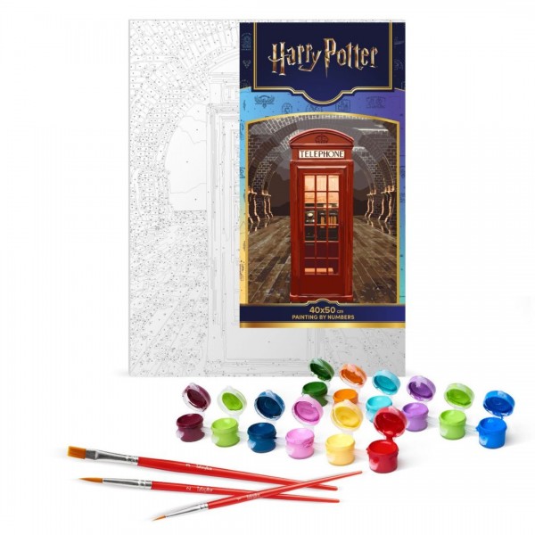 250613 Картина за номерами WB "Harry Potter: Магічний вхід" 40х50см
