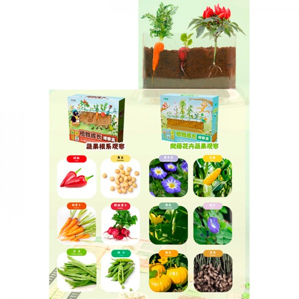 244070 Набір для творчості 709757 грунт, насіння, ємність(пластик) 21-13-4см, в кор-ці, 27-23-9,5см