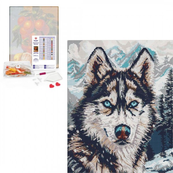 245111 AMO "Очі півночі" 40х50см