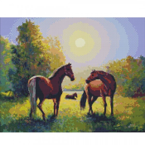 245112 AMO (в обкладинці) "Родина конячок" 40х50см