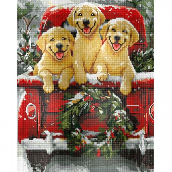 244486 Набір з алмазною мозаїкою "Собача поїздка" 40х50см