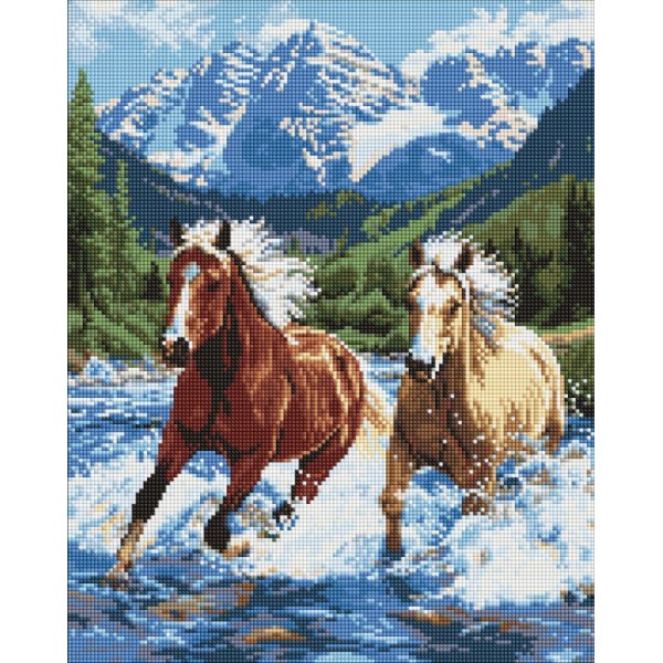 244483 Набір з алмазною мозаїкою "Сила у русі" 40х50см