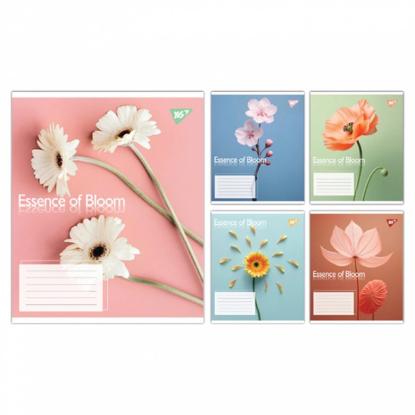 228370 А5/24 кл. Yes Essence of Bloom, зошит учнівський шкільний