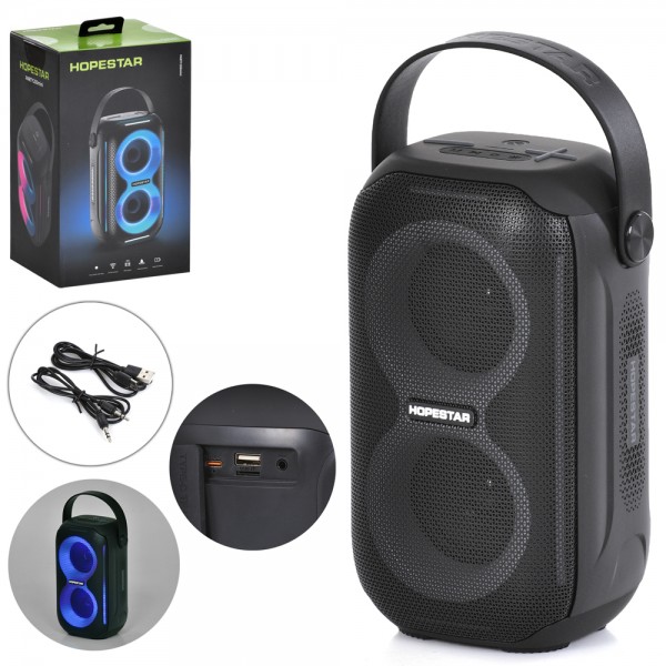 217256 Колонка FG240430012Q (5шт) 21-11-9см, акум, 3600mA, 2х10W, світло, Bluetooth, USBзарядне, TFслот, MP3, FM, в кор-ці, 12,5-24-14,5см