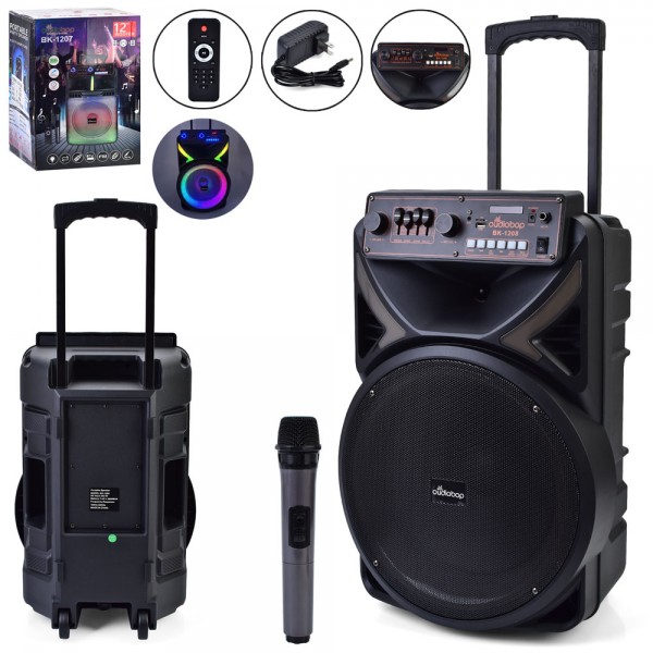 225685 Колонка GY-1208 12дюйм, акум., пульт, мікрофон, FM, BТ, TFслот, MP3, USBвх, світло, кор.,40-37-62см.