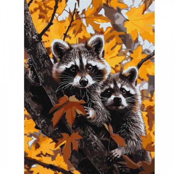 246337 КНО (в обкладинці) "Пригода єнотів" 30х40см