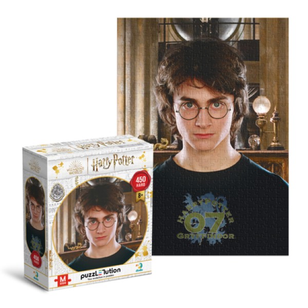 221214 Пазл Hard-M Harry Potter. Портрет Гаррі