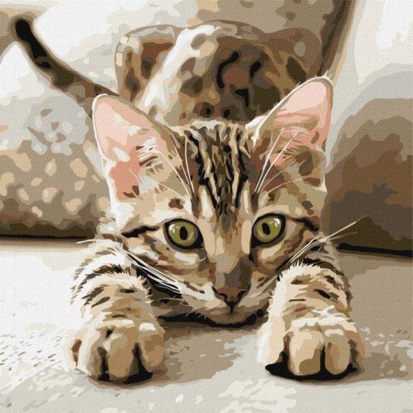 246497 KHO "Грайливе кошеня" 40х40см