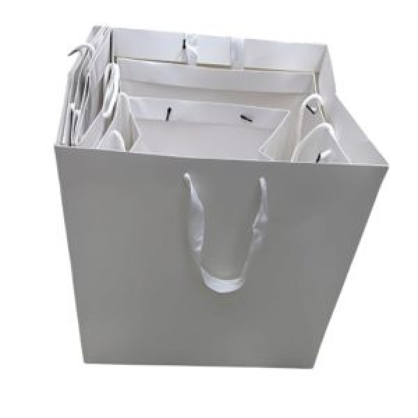 262784 Пакет подарунковий паперовий L "White Grace" 30*30*30см