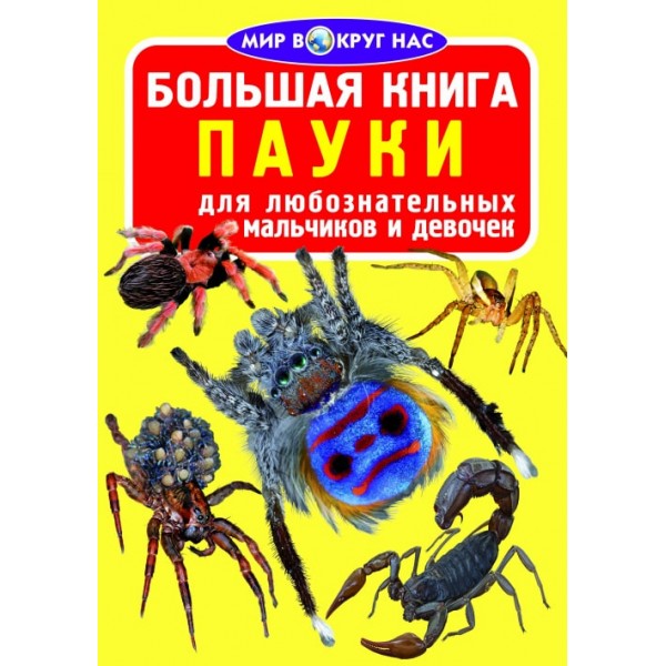 122452 Книга "Большая книга. Пауки"