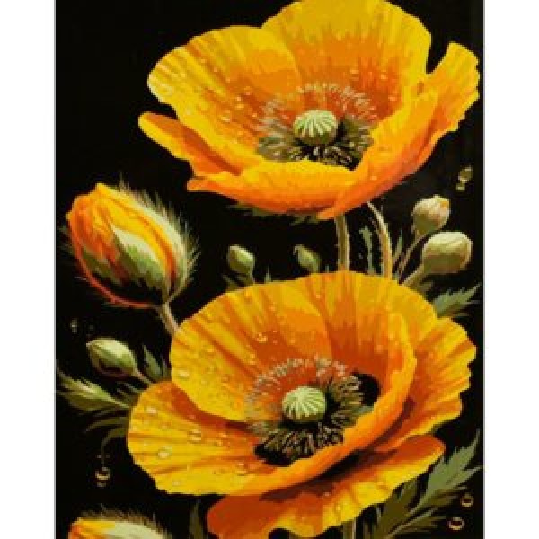 249908 Картина за номерами Strateg Сонячні маки на чорному фоні 40х50 (AH1311)