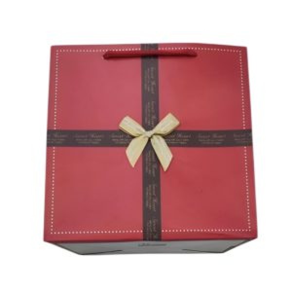 262833 Пакет подарунковий паперовий M "Ribbon" 30*30*25см