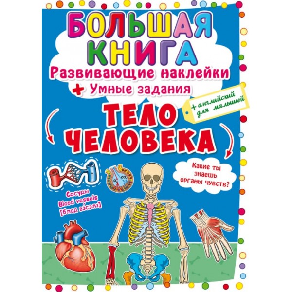 122488 Книга "Большая книга. Развивающие наклейки. Умные задания. Тело человека"