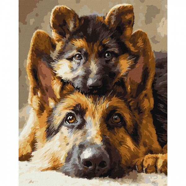 249241 Набір для розпису по номерах "Разом завжди" 40х50см