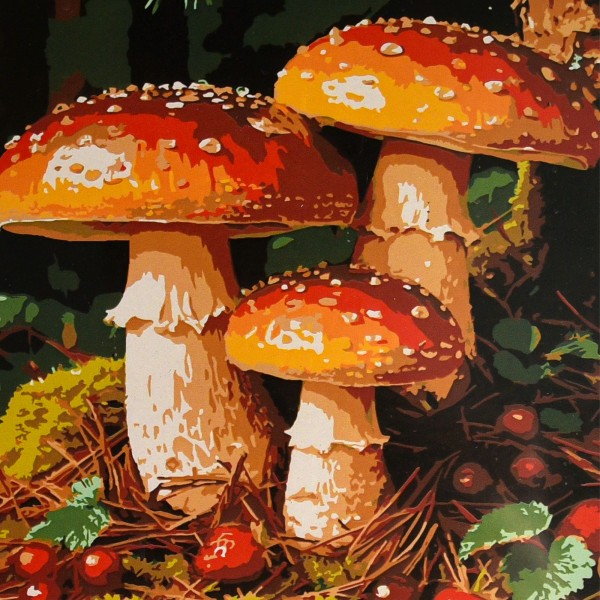 249976 Картина за номерами Strateg Грибна галявина 30х30 (ES-0931)