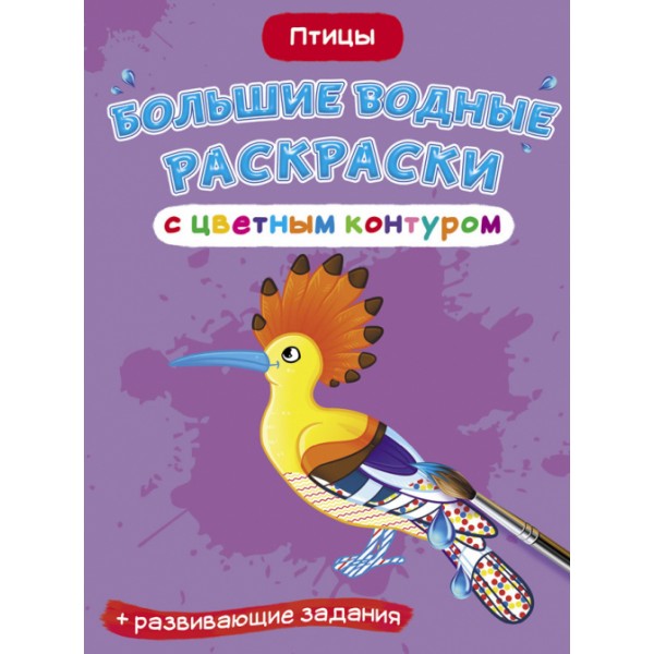 122414 Книга "Большие водные раскраски с цветным контуром. Птицы"