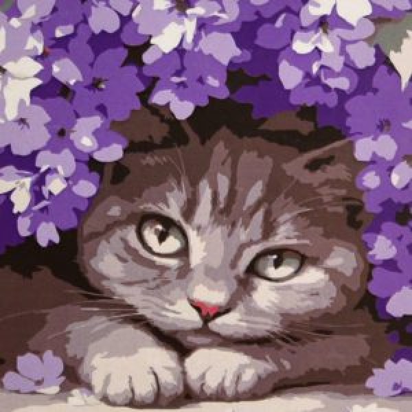 249865 Картина за номерами Strateg Котик у бузку 20х20 (HH8047)