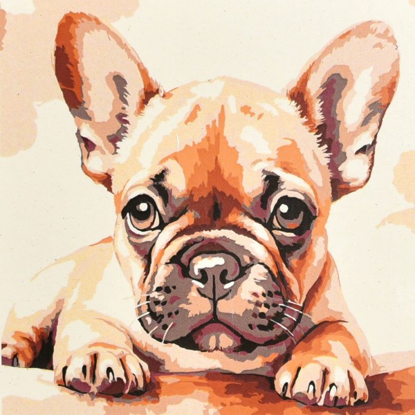 249873 Картина за номерами Strateg Бульдог-малюк 20х20 (HH8070)