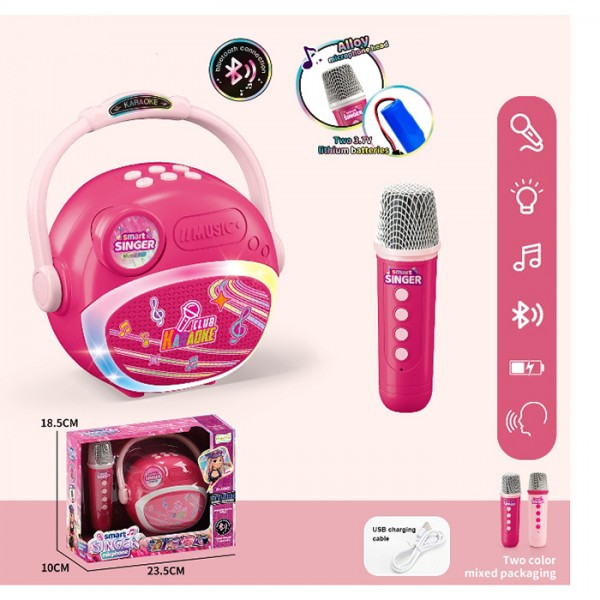 246527 Колонка HY842-E 14-8-12см/16см,світло,мікрофон, акум,Bluetooth, TFслот,USBзаряд., кор.,23,5-18-9,5см