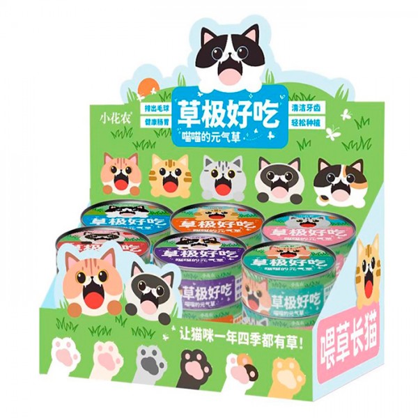 226769 Набір для творчості 710784 банка(метал), грунт, насіння, 6 видів,12шт. в диспл., 27,5-10-18,5см.