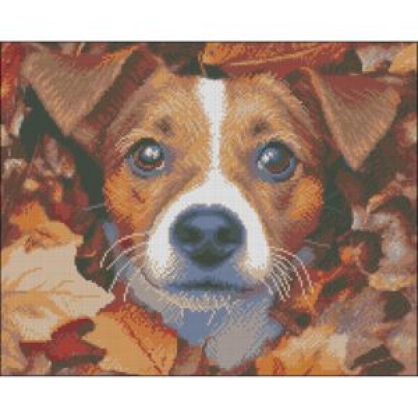 249896 Алмазна картина Strateg Пес у листях 40х50 (FZ4050-05)
